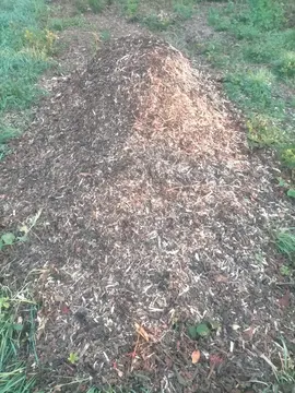 coupeau de bois