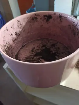 Gros pot de fleur