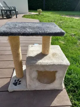 arbre à chat