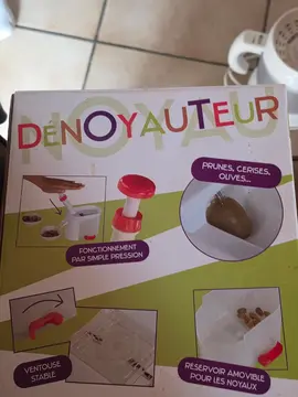 denoyauteur