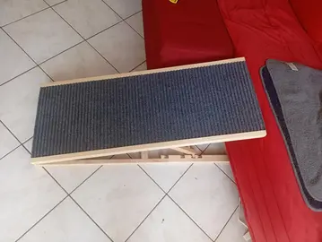 plan incliné pour chien