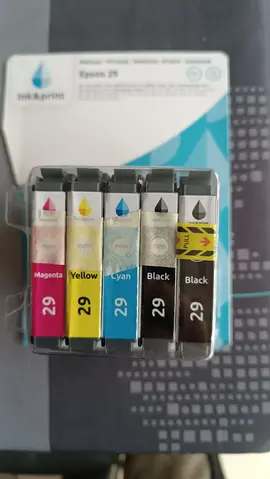 Lot de cartouches encre Epson 29