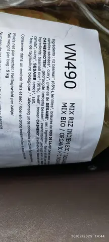 riz à l'indienne