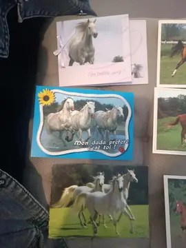 6cartes postale de chevaux