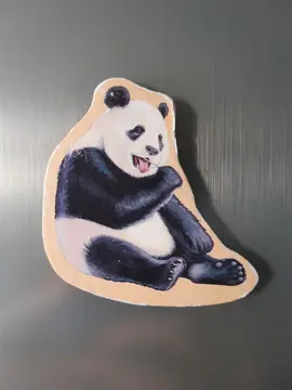 Magnet panda