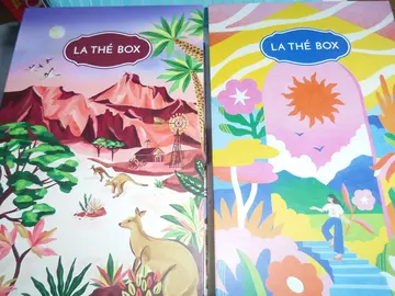 Boite à compartiment en carton
