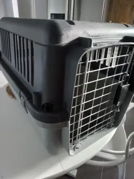 Cage de transport pour les animaux