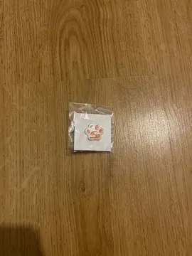 petite broche de l’association SPA