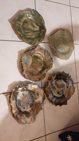 11 assiettes émaillées forme feuille