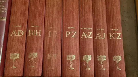 collection dictionnaire de culture universelle