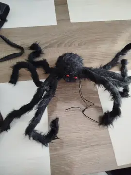 donné une araignée Halloween