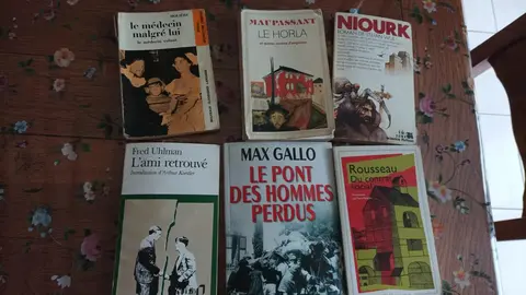 Lot de livres n°1