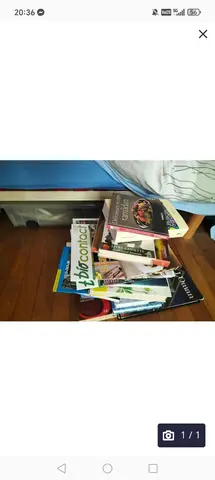 Lot de livres