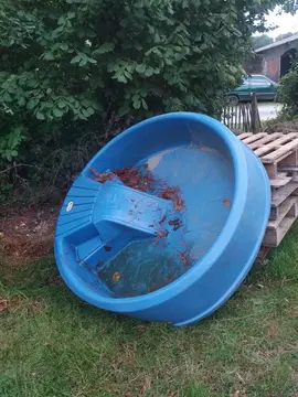 piscine bleue.