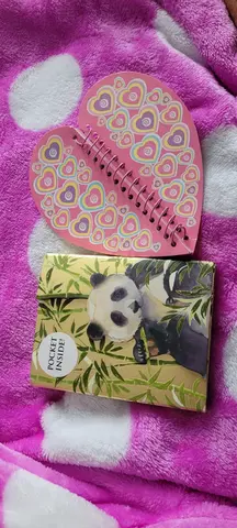 lot de deux petits carnets