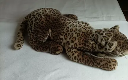 peluche