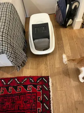 Litière pour chat avec porte plastique transparente à bascule
