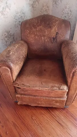 véritable fauteuil club à moustaches