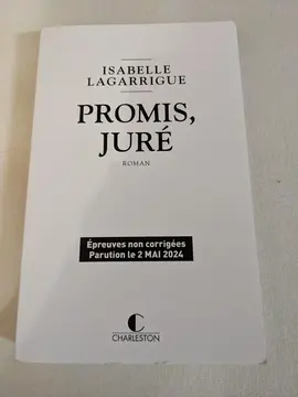 roman d'Isabelle La garrigue : promis, juré