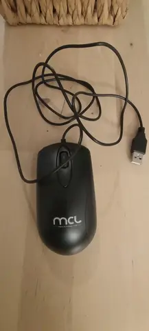 souris