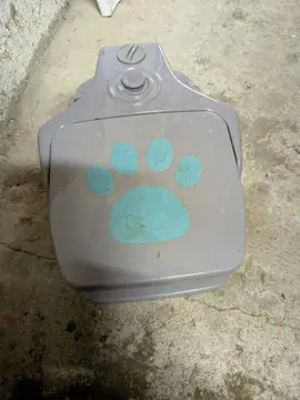 jeux d'eau chien