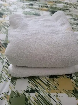 2 serviettes blanches