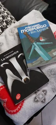 livres pour 8-9ans