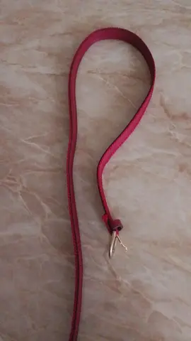 ceinture