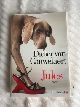 livre Didier van Cauvelaert