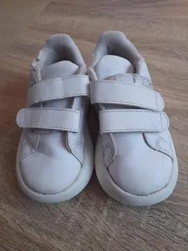 b1skets T 25