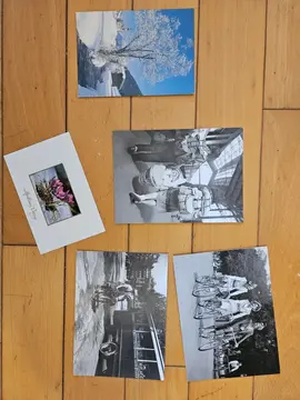 5 cartes postales / carte de vœux