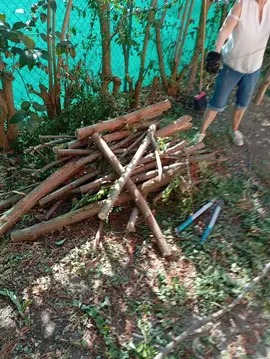 bois de chauffe à récupérer chez moi