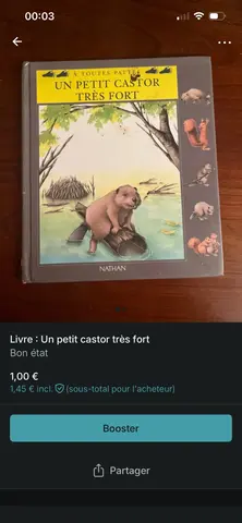 Livre : Un petit castor très fort
