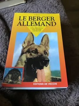 Le berger allemand