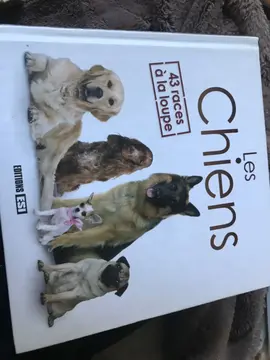 Les chiens