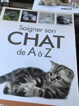 Soigner son chat d’A à Z