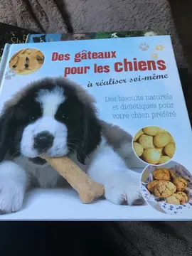 Des gâteaux pour les chiens à réaliser soi-même