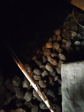 boulets de charbon