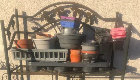 godets pour semis, plantes
