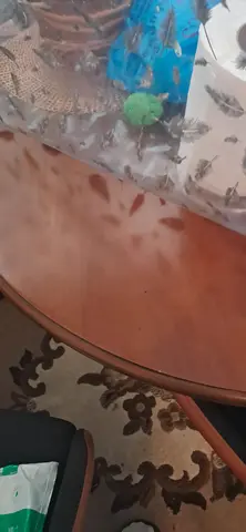 table avec rallonge et 5 chaises