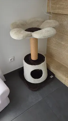 arbre à chat