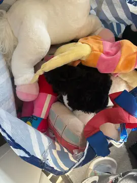 sac de peluches