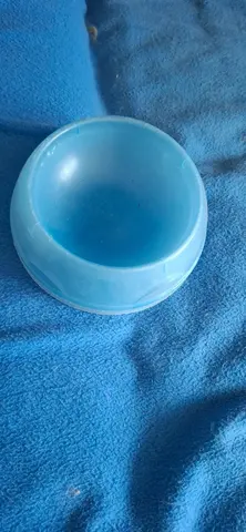 gamelle pour petit animal