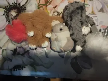 Lot peluches porte-clefs