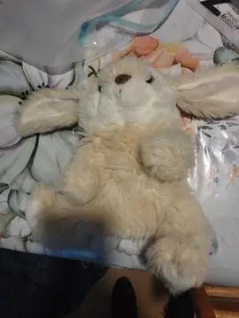 Doudou lapin peluche