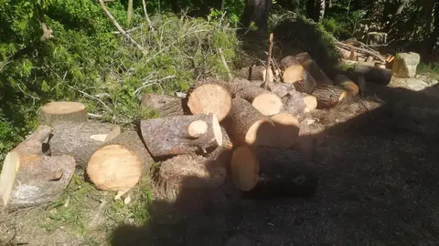 bois