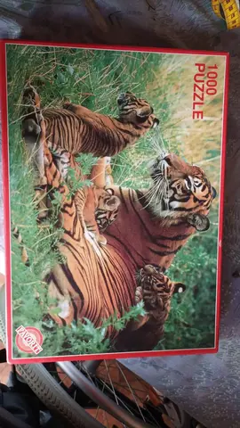 Puzzle 1000 pièces (2 manquantes)
