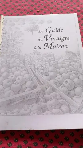 le guide du vinaigre a la maison