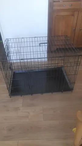 cage education chiot
