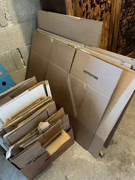 Donne cartons